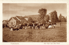 13662 Gezicht op de boerderij op het terrein van het opvoedingsgesticht Valkenheide (Woudenbergseweg) te Maarsbergen ...